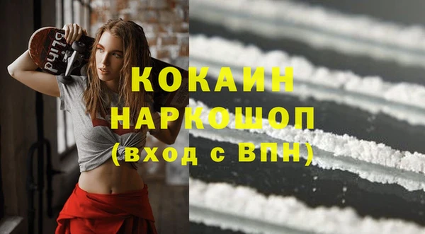 spice Дмитриев