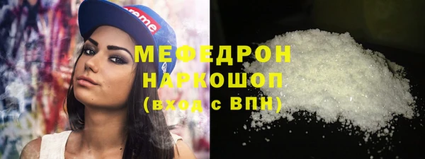 spice Дмитриев