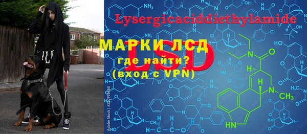 spice Дмитриев