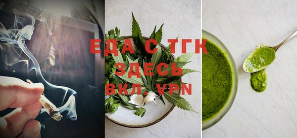 spice Дмитриев