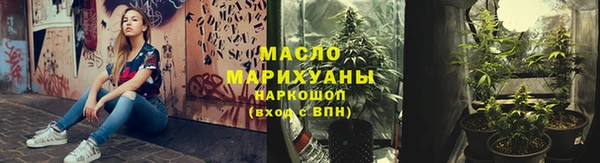 spice Дмитриев