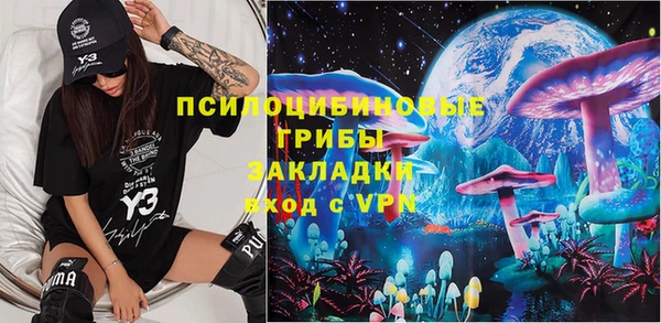 spice Дмитриев