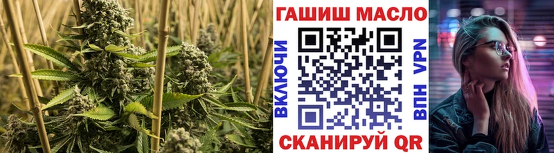 Купить где  Кашин  ТГК вейп 